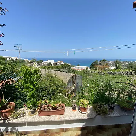 Apartment A Cas E Rosa Forio di Ischia