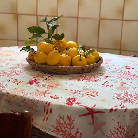 A Cas E Rosa Forio di Ischia